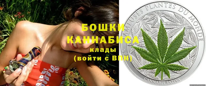 shop как зайти  хочу   Лениногорск  Бошки марихуана план 